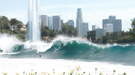 Echo Park Surf Squad